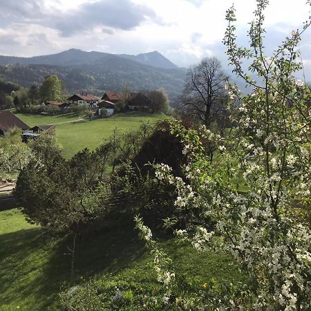 Entspannen Mit Bergpanorama Siegsdorf Exteriér fotografie