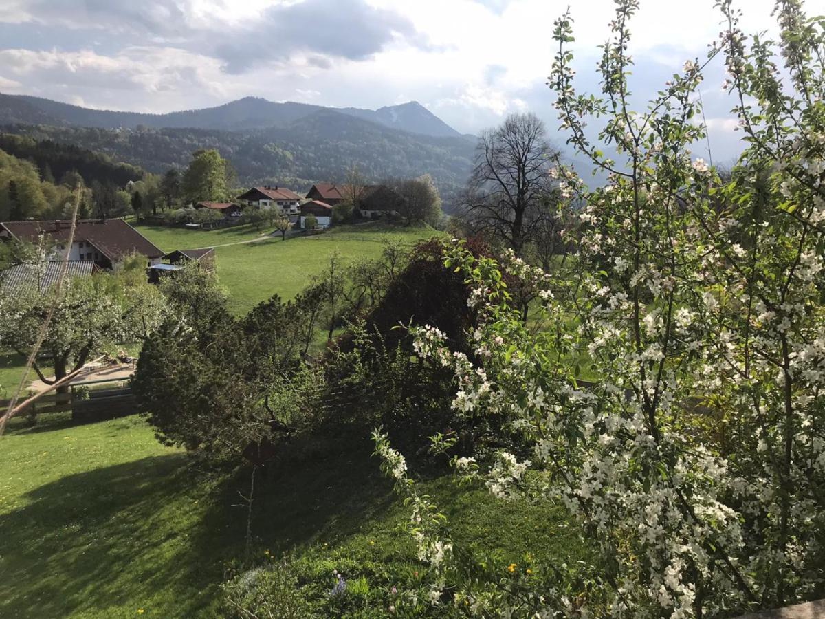 Entspannen Mit Bergpanorama Siegsdorf Exteriér fotografie